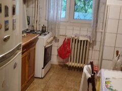 Nicolae Grigorescu, Titan